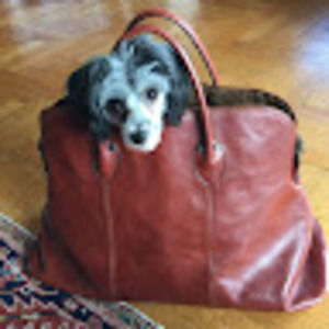 Meet your Posher, Nancy